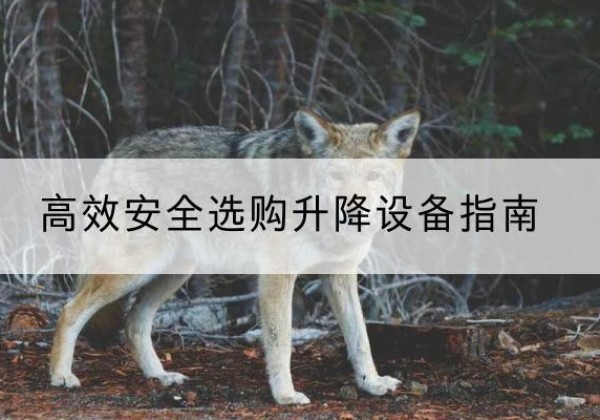 云城升降货梯厂家推荐-*安全选购升降设备指南