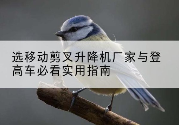 云城电动升降机厂家-选移动剪叉升降机厂家与登高车必看实用指南